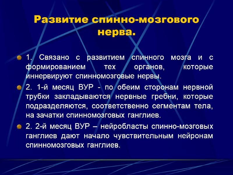 Развитие спинно-мозгового нерва. 1. Связано с развитием спинного мозга и с формированием тех органов,